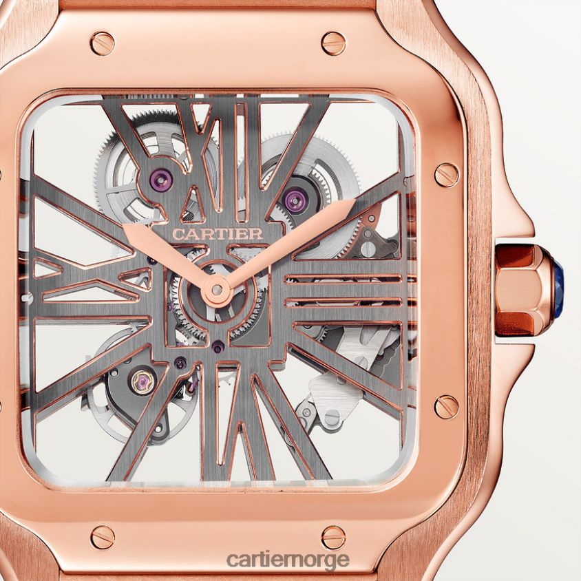 tilbehør Cartier santos klokke stilig F4466N908