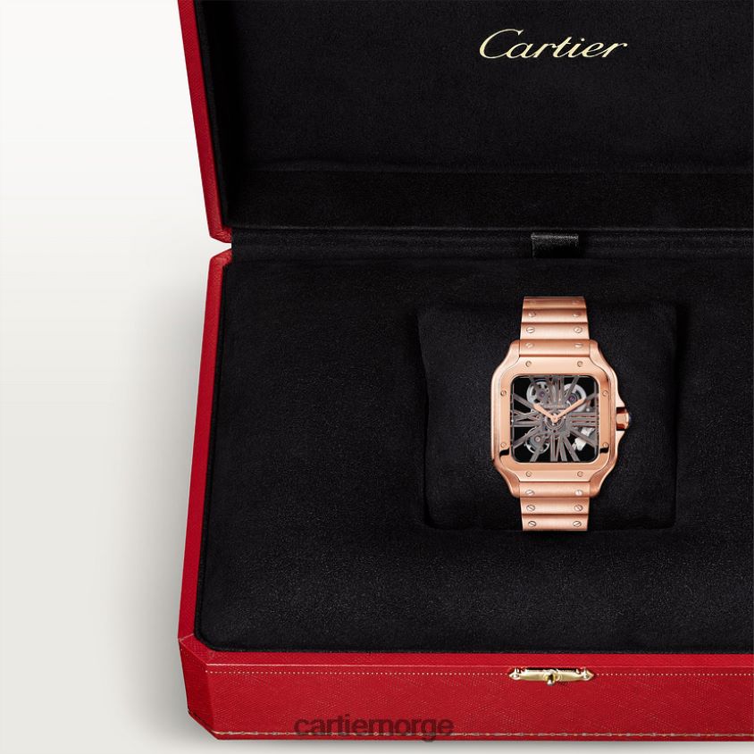 tilbehør Cartier santos klokke stilig F4466N908