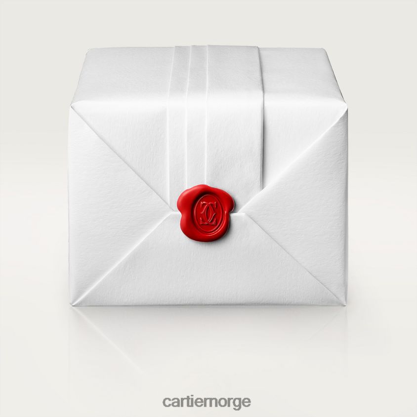 tilbehør Cartier santos klokke stilig F4466N908