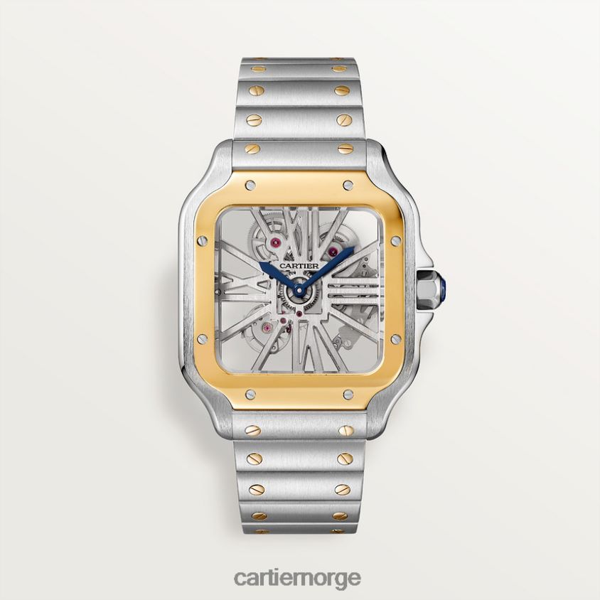 tilbehør Cartier santos klokke stilig F4466N909