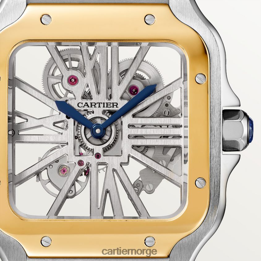 tilbehør Cartier santos klokke stilig F4466N909