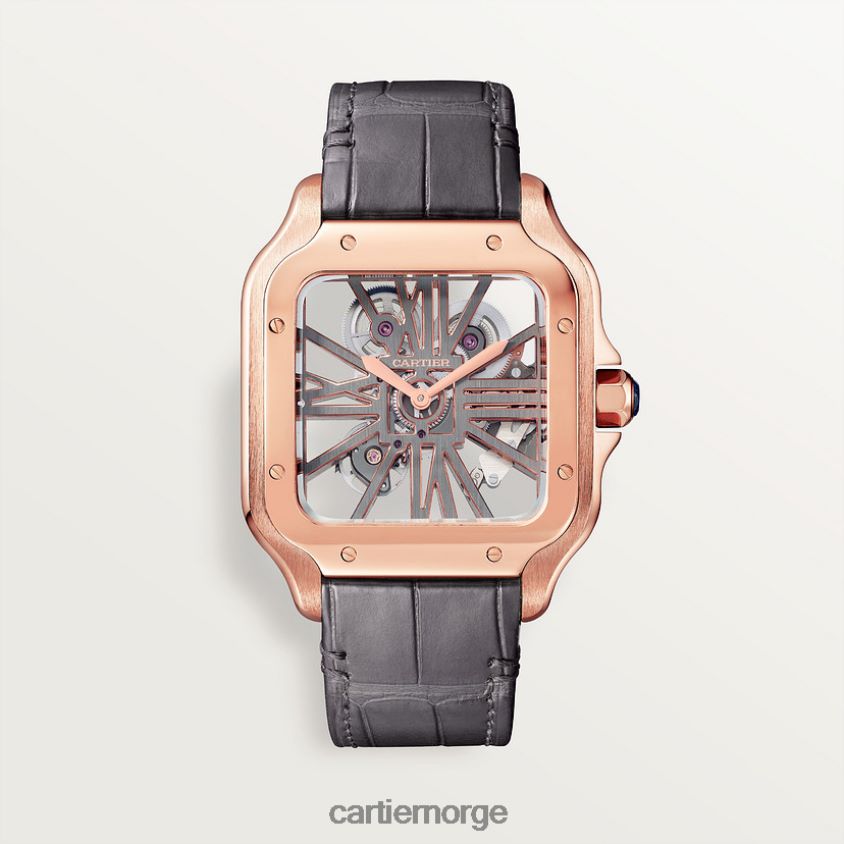 tilbehør Cartier santos klokke stilig F4466N910