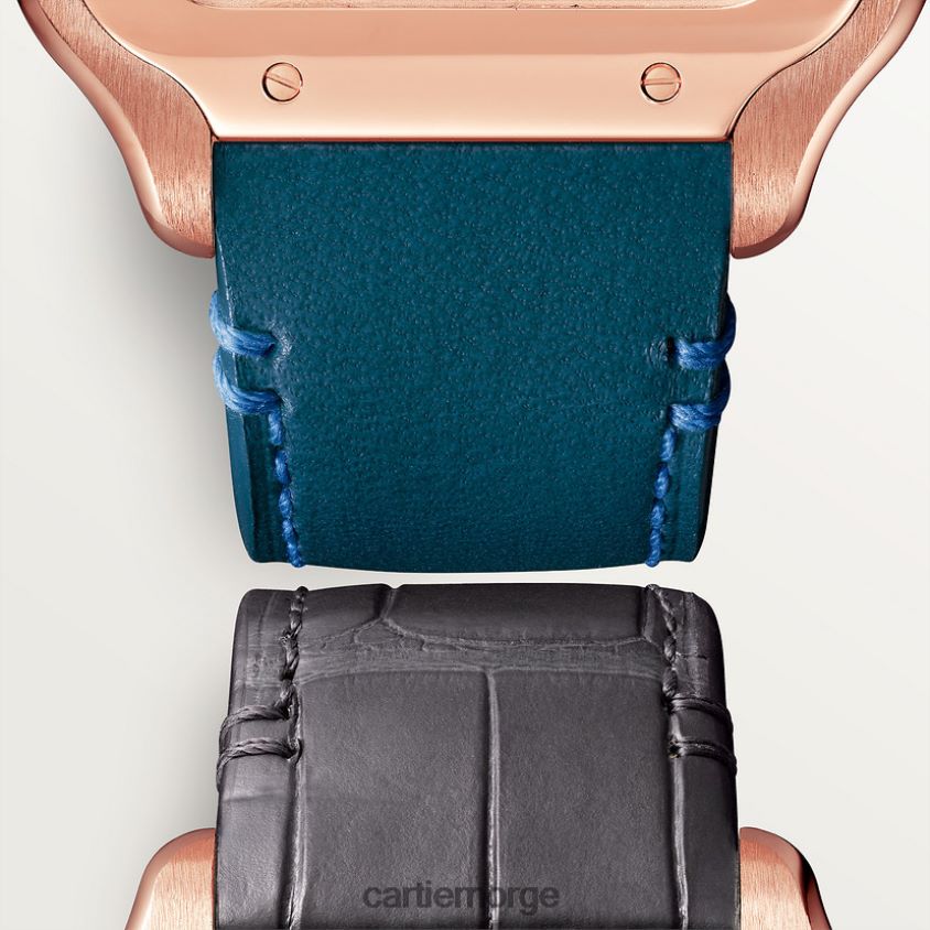 tilbehør Cartier santos klokke stilig F4466N910