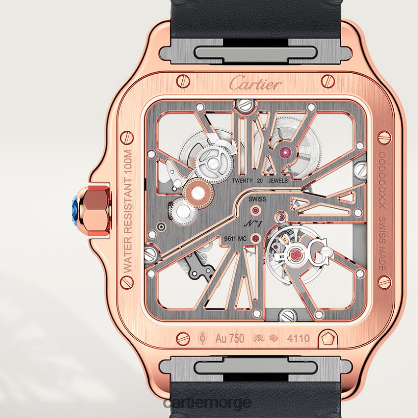 tilbehør Cartier santos klokke stilig F4466N910