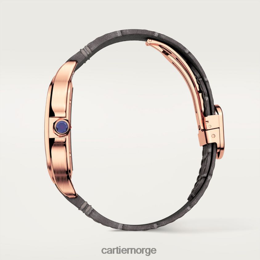 tilbehør Cartier santos klokke stilig F4466N910