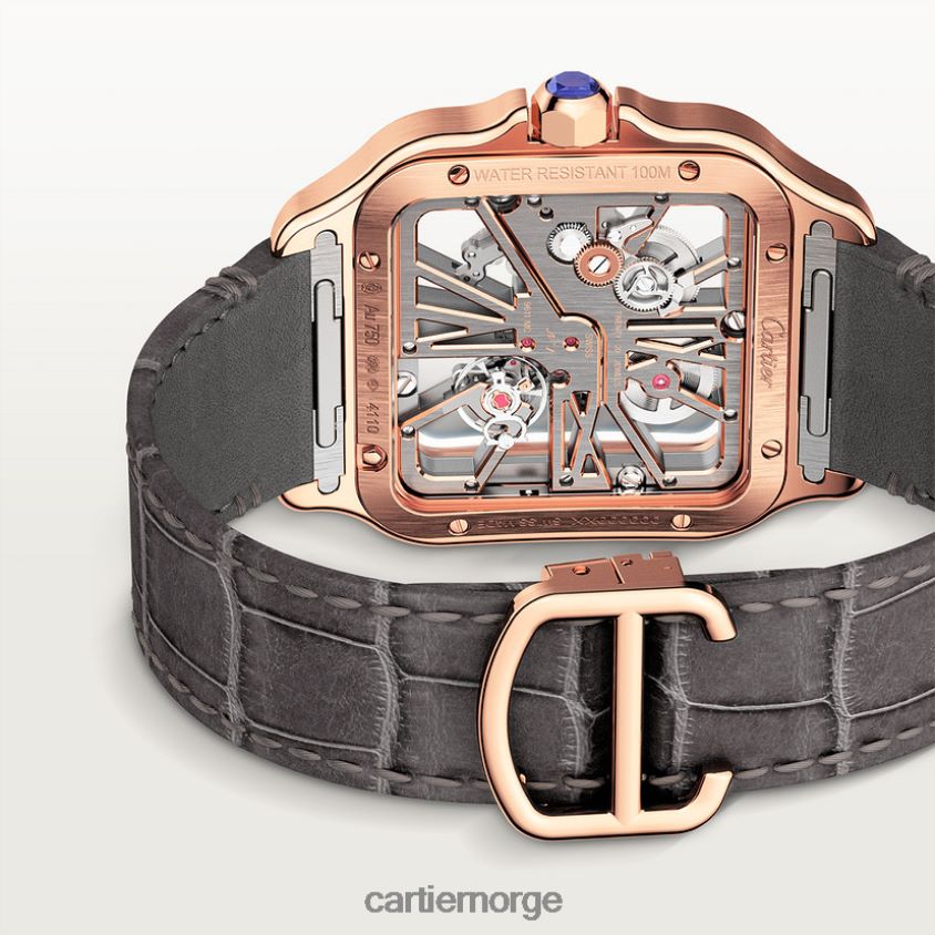 tilbehør Cartier santos klokke stilig F4466N910