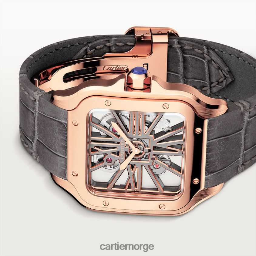 tilbehør Cartier santos klokke stilig F4466N910