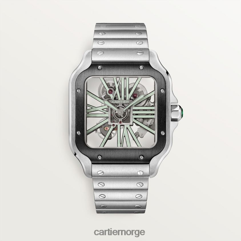tilbehør Cartier santos klokke stilig F4466N911