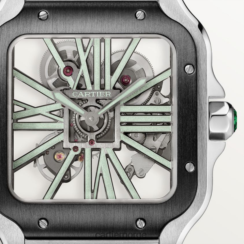 tilbehør Cartier santos klokke stilig F4466N911