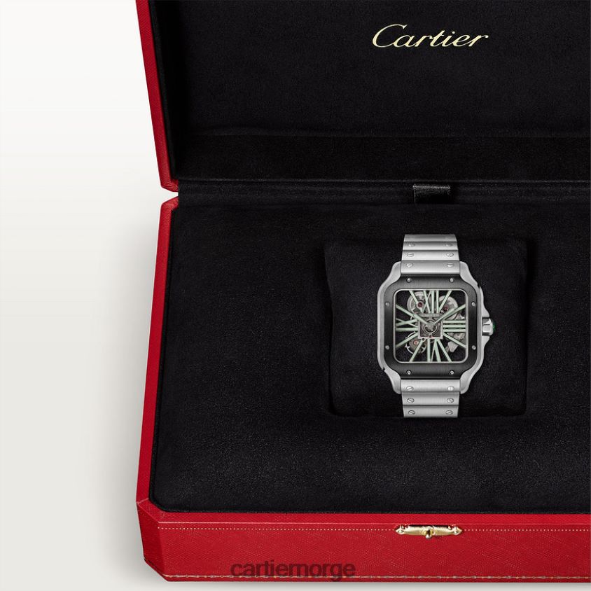 tilbehør Cartier santos klokke stilig F4466N911