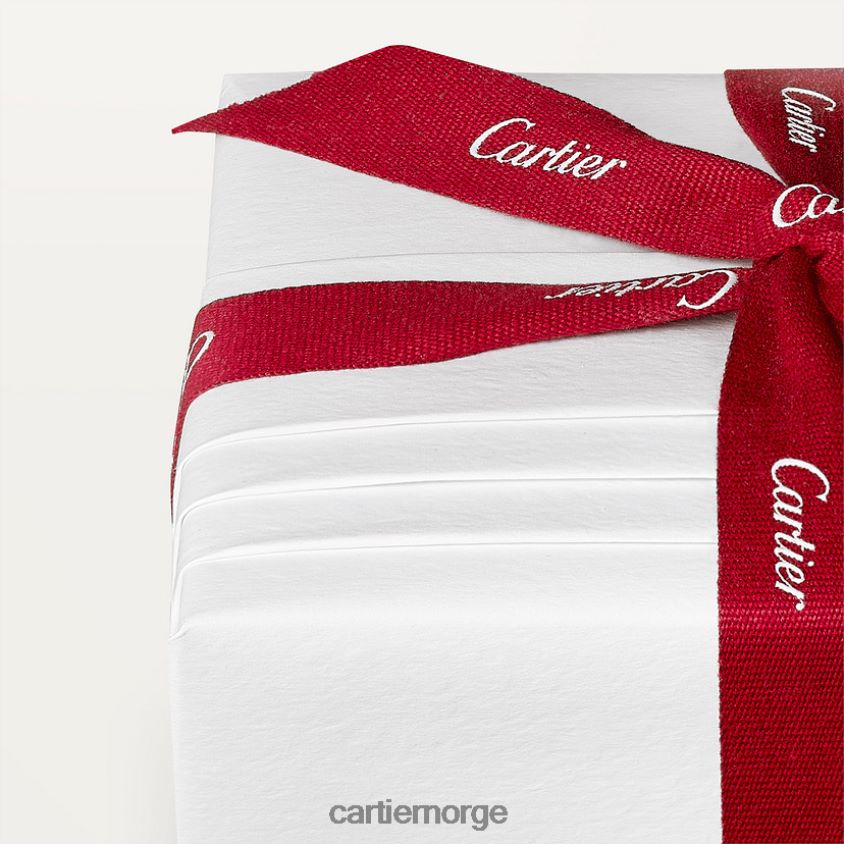 kunsten å bo hjemme Cartier pantervase, liten modell stilig F4466N1655