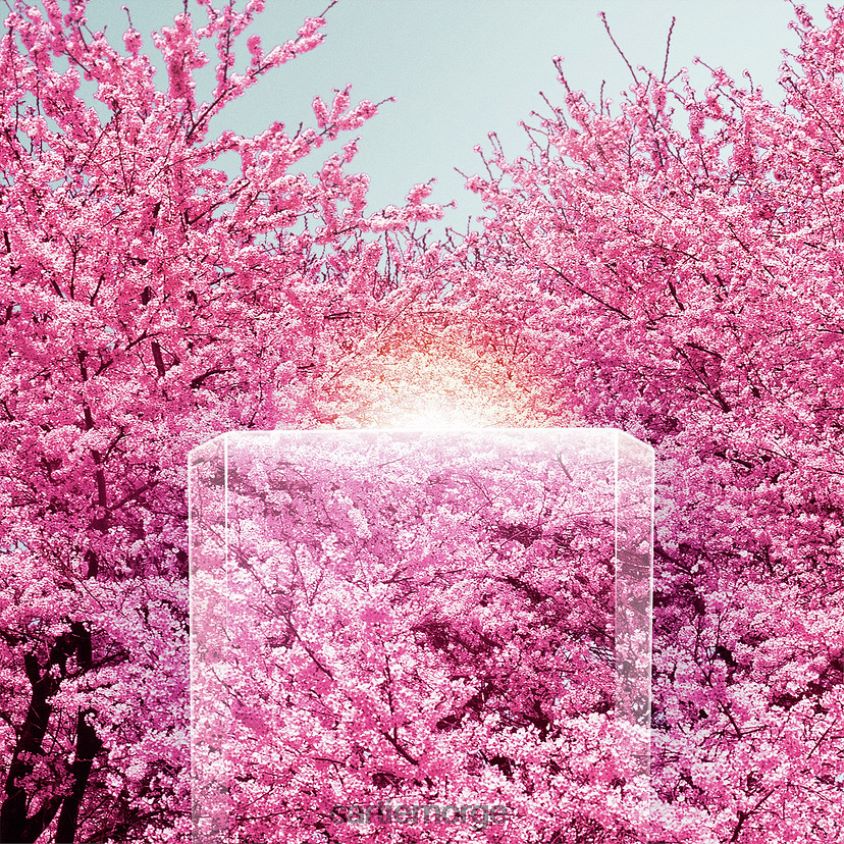 kunsten å bo hjemme Cartier les ecrins parfymer kronblader stilig F4466N1627