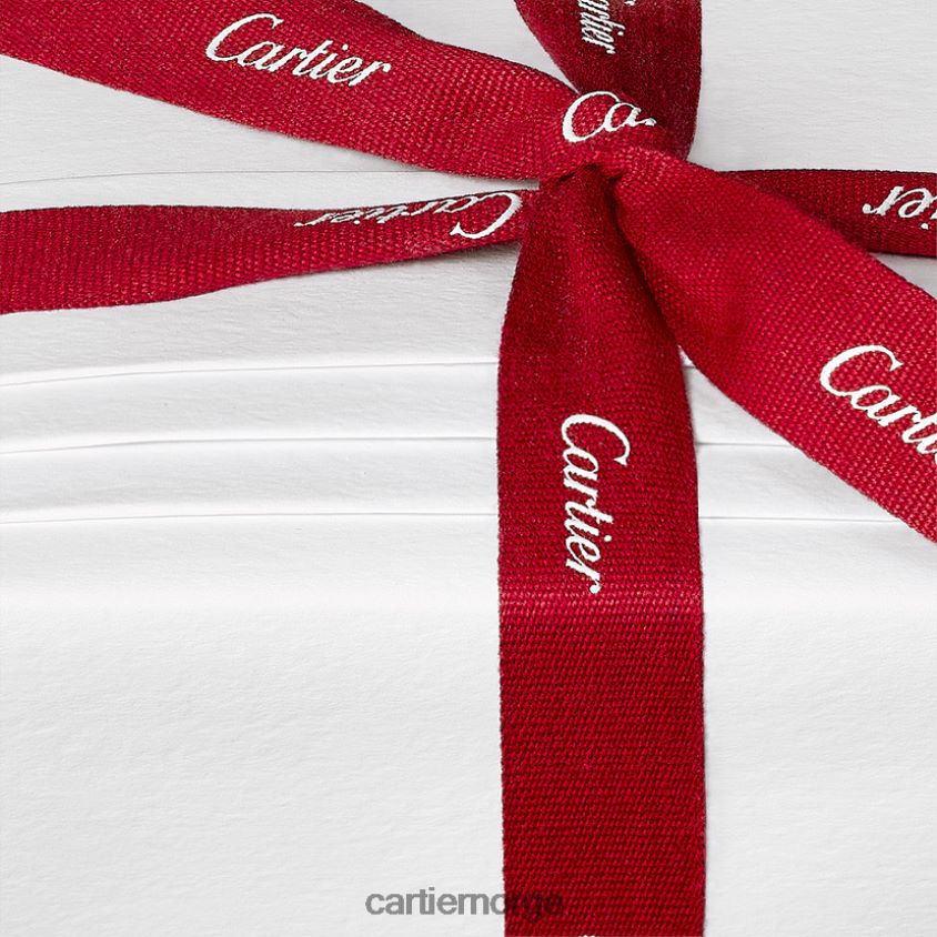 kunsten å bo hjemme Cartier pantere teboks stilig F4466N1675