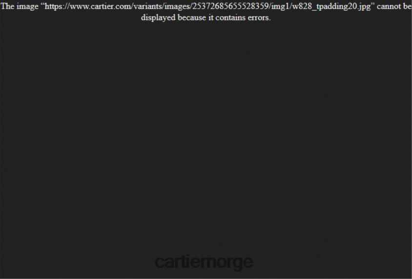 kunsten å bo hjemme Cartier må skrivebord dagbok stilig F4466N1769