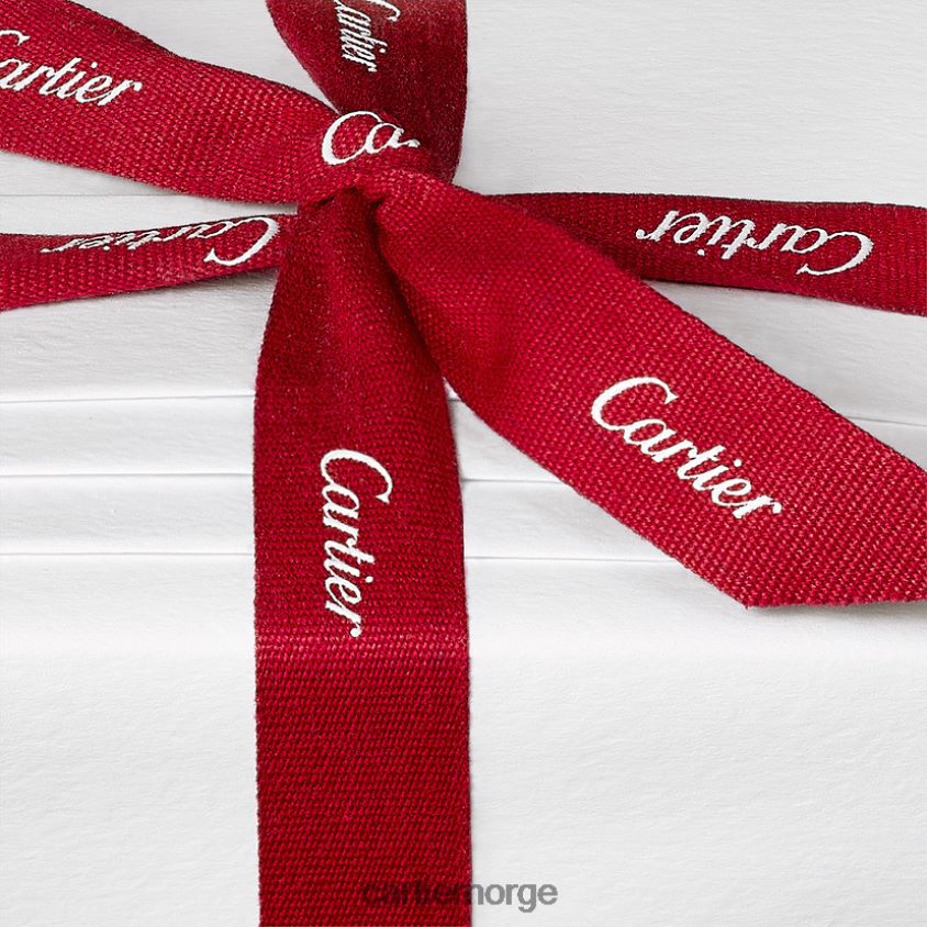 kunsten å bo hjemme Cartier pantere vase, medium modell stilig F4466N1677