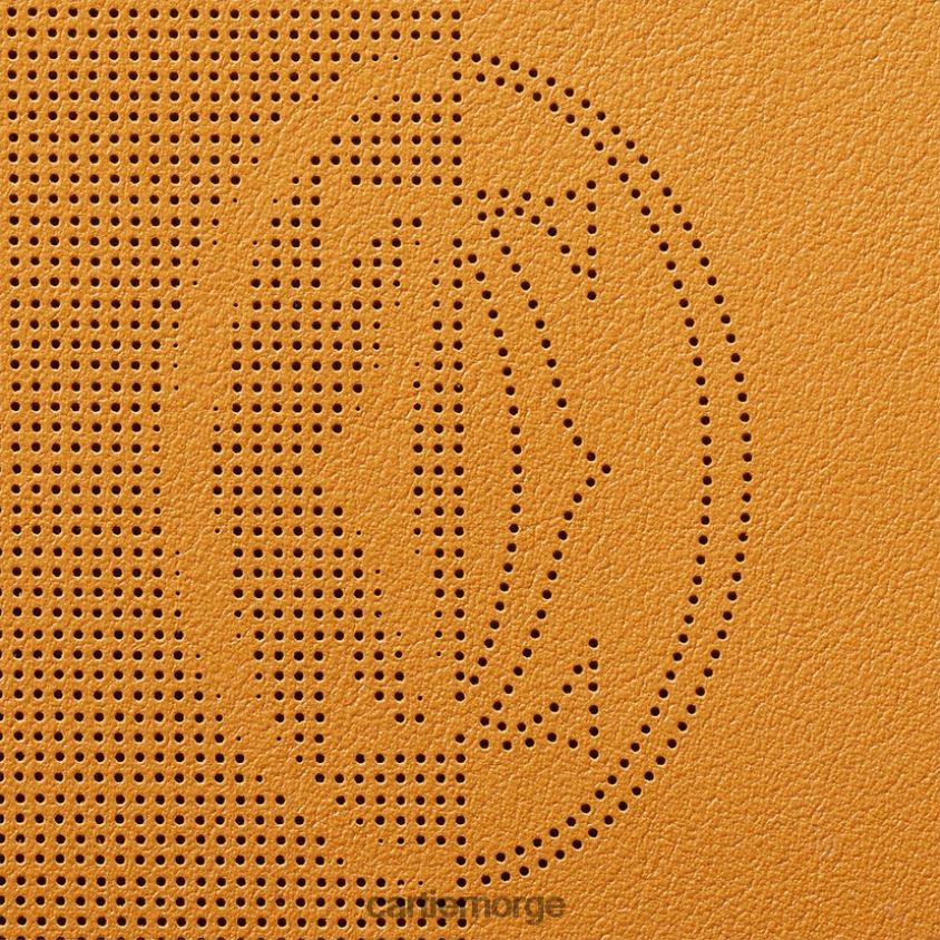 tilbehør Cartier innehaver av seks kredittkort stilig F4466N1120