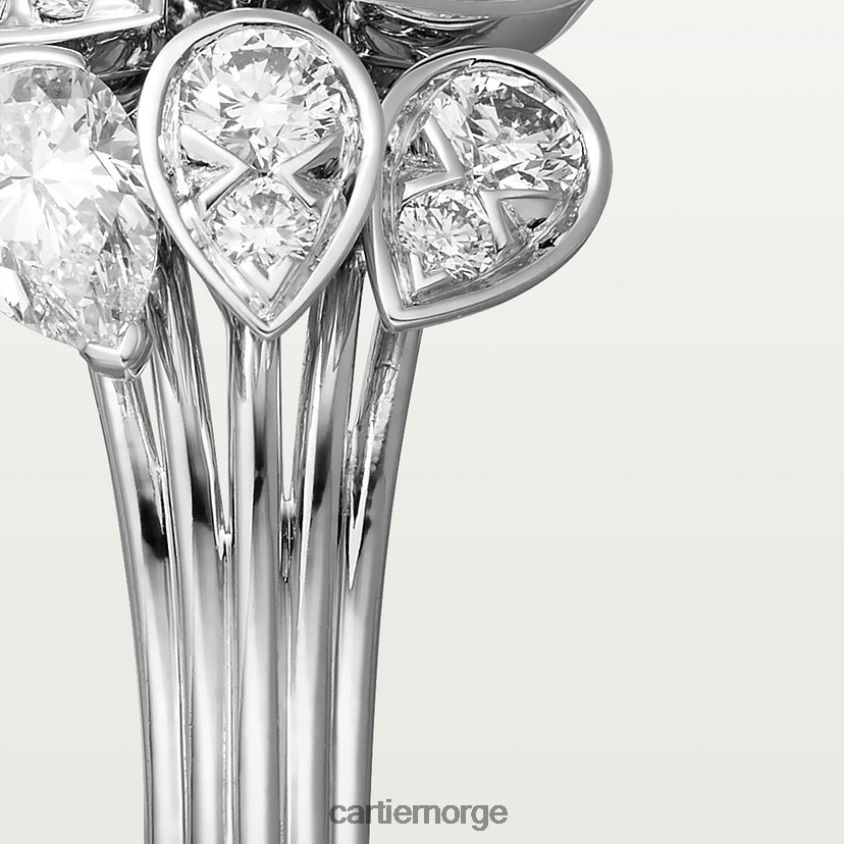 smykker Cartier pluie ring stilig F4466N109