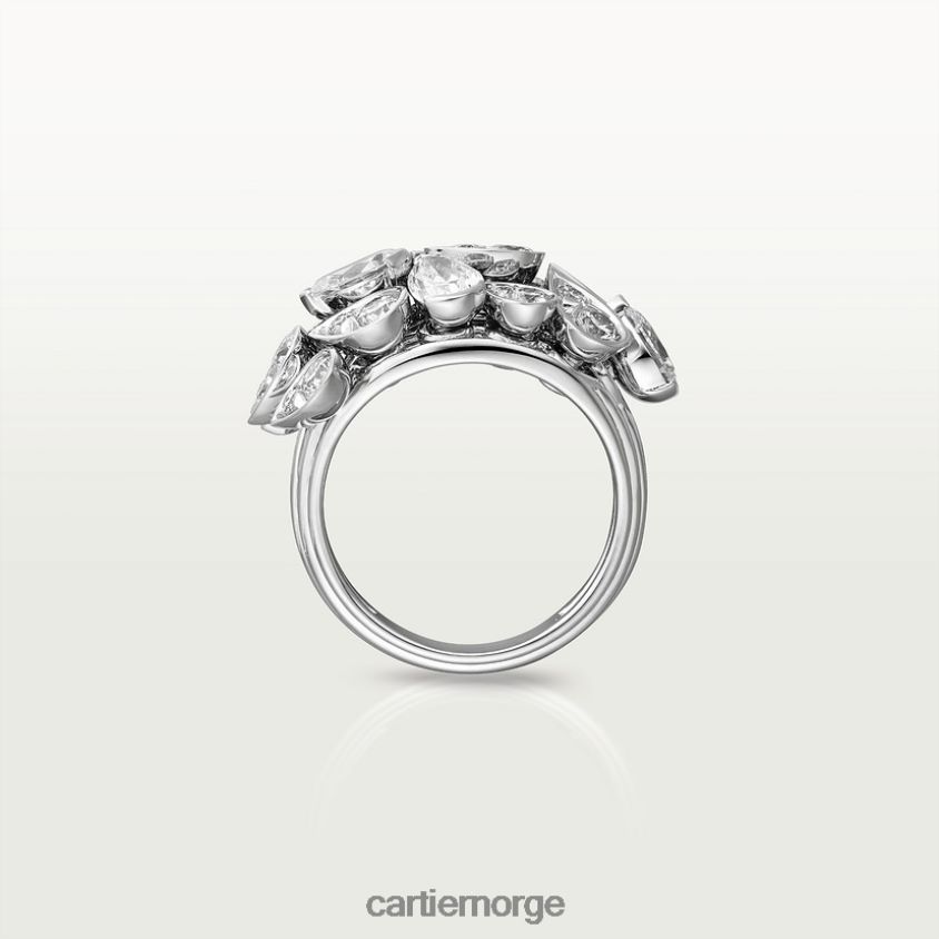 smykker Cartier pluie ring stilig F4466N109