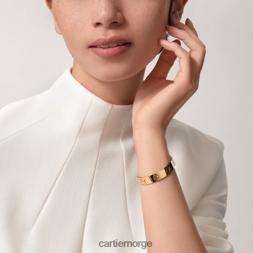 smykker Cartier kjærlighetsarmbånd stilig F4466N189