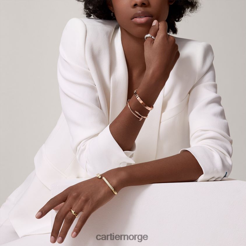 smykker Cartier panter armbånd Rose gull F4466N232