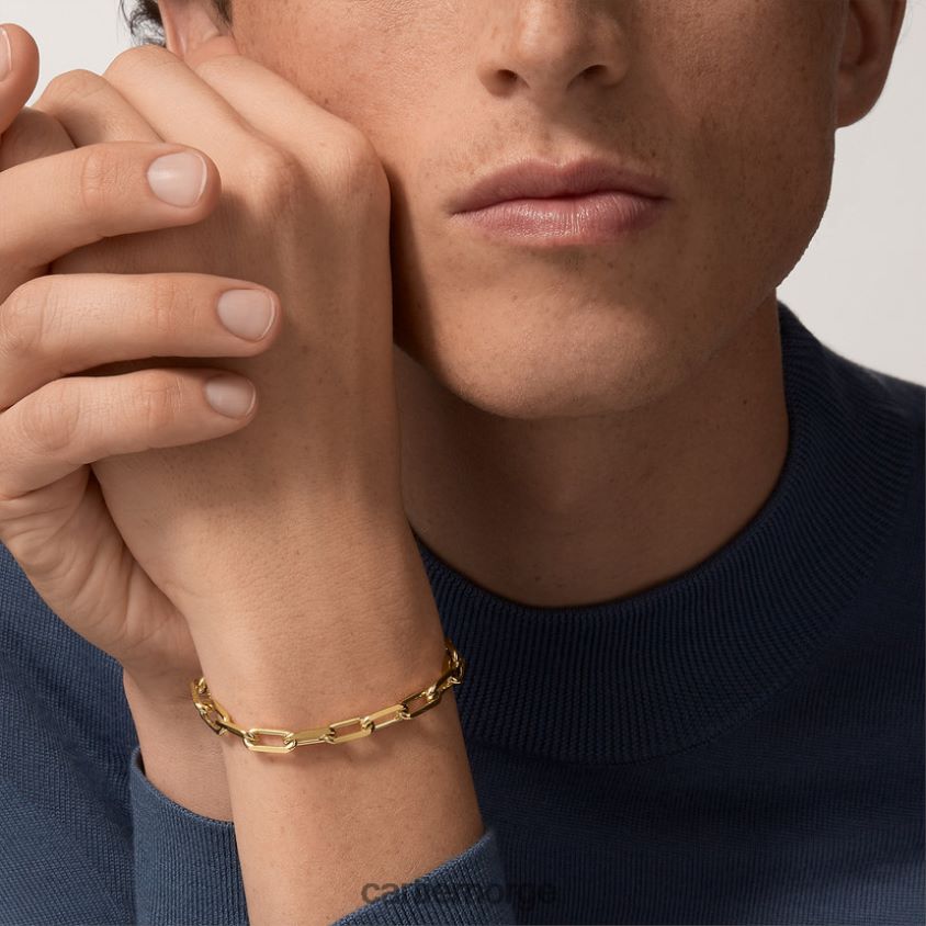 smykker Cartier santos armbånd gult gull F4466N336