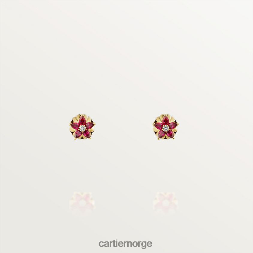 smykker Cartier kaktus øredobber stilig F4466N754