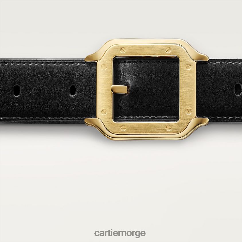 tilbehør Cartier belte, santos stilig F4466N1372