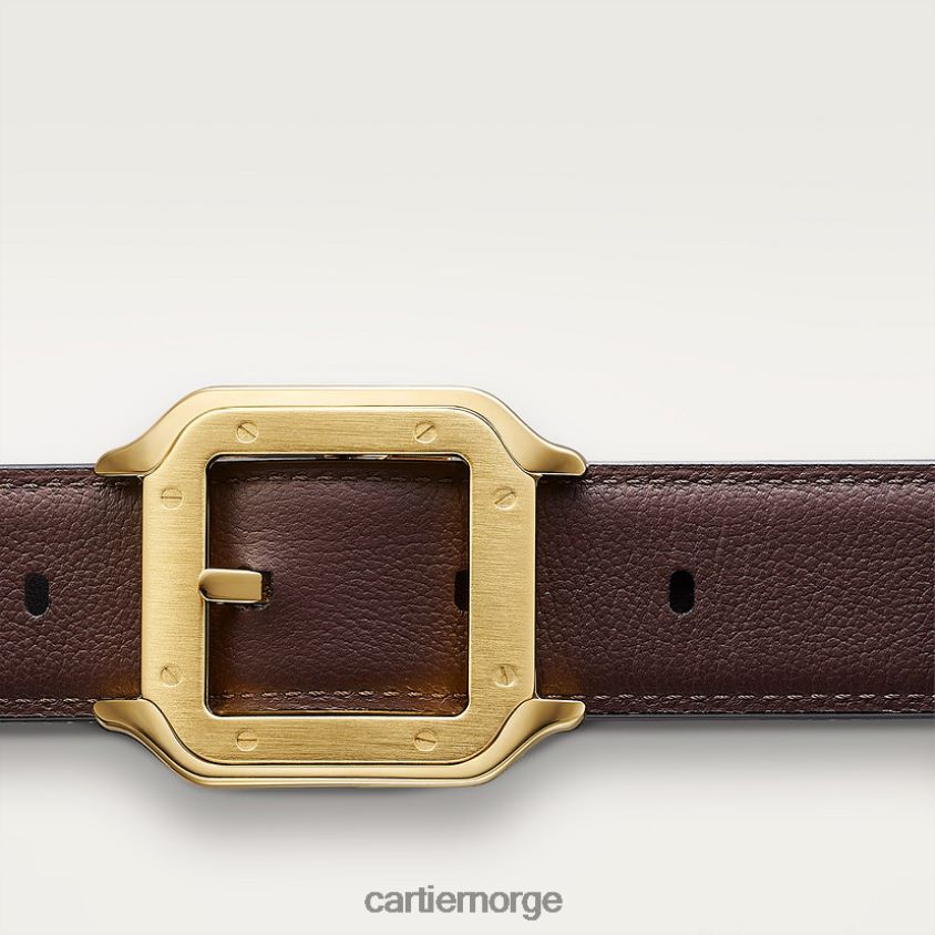 tilbehør Cartier belte, santos stilig F4466N1372