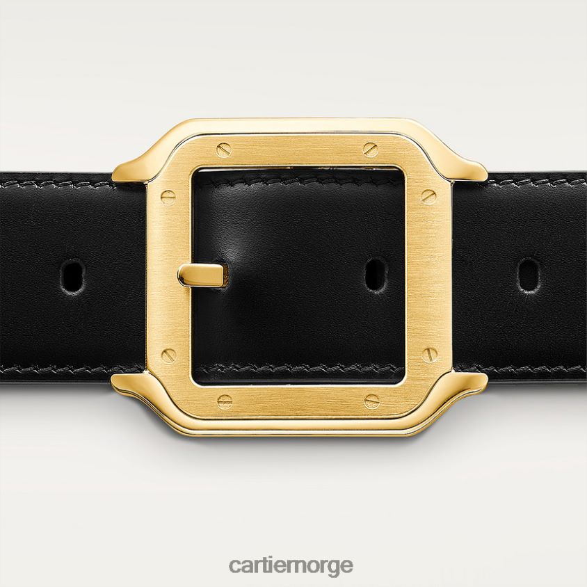 tilbehør Cartier belte, santos stilig F4466N1375