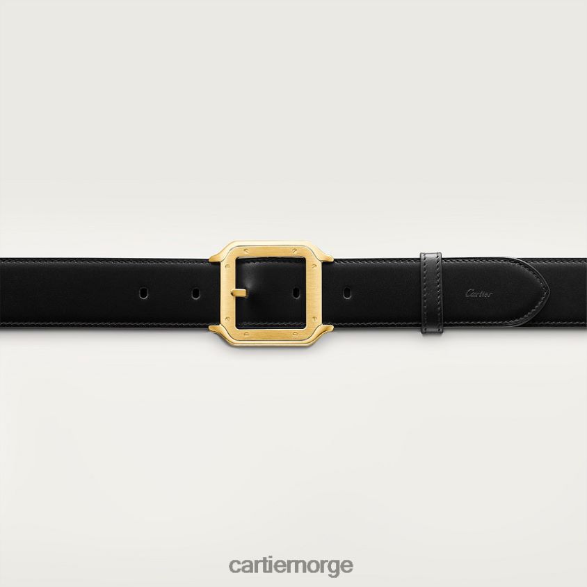 tilbehør Cartier belte, santos stilig F4466N1375