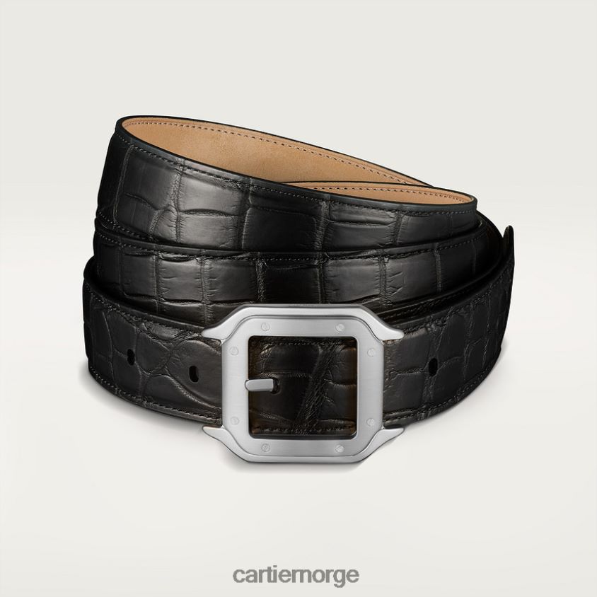 tilbehør Cartier belte, santos stilig F4466N1377