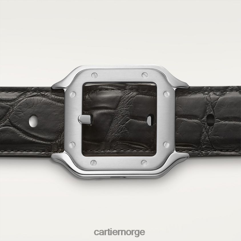 tilbehør Cartier belte, santos stilig F4466N1377