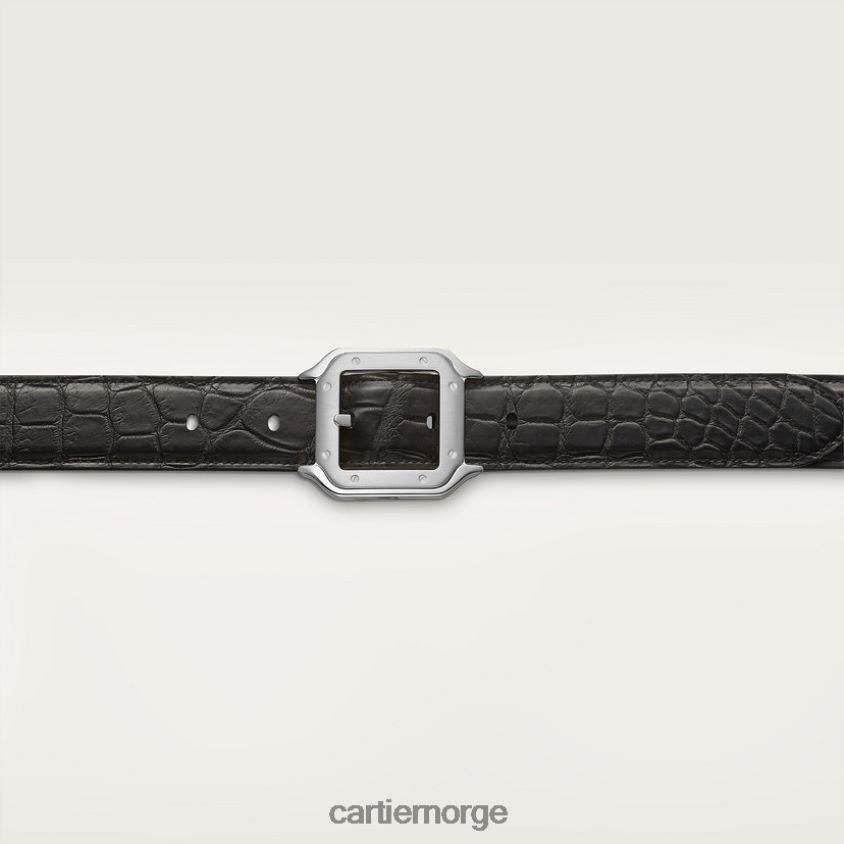 tilbehør Cartier belte, santos stilig F4466N1377