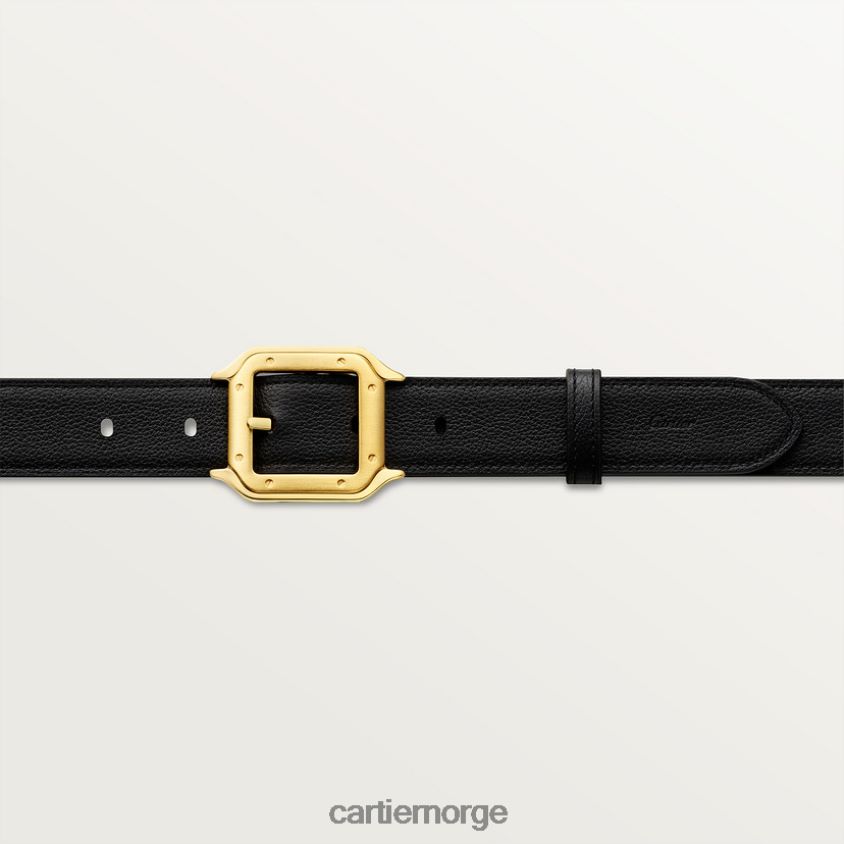 tilbehør Cartier belte, santos stilig F4466N1383