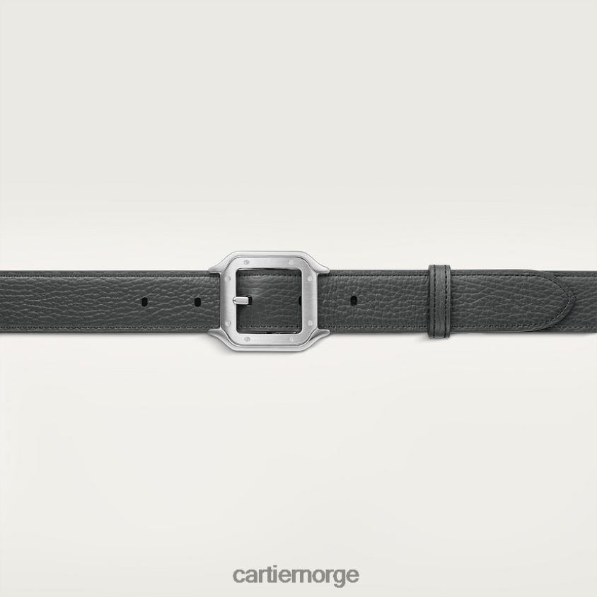 tilbehør Cartier belte, santos stilig F4466N1384