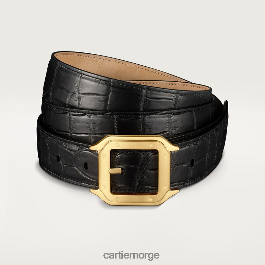 tilbehør Cartier belte, santos stilig F4466N1385