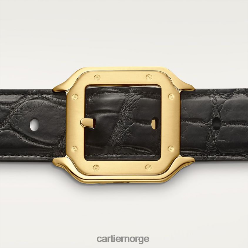 tilbehør Cartier belte, santos stilig F4466N1385