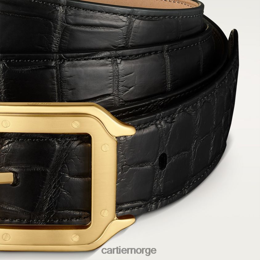 tilbehør Cartier belte, santos stilig F4466N1385