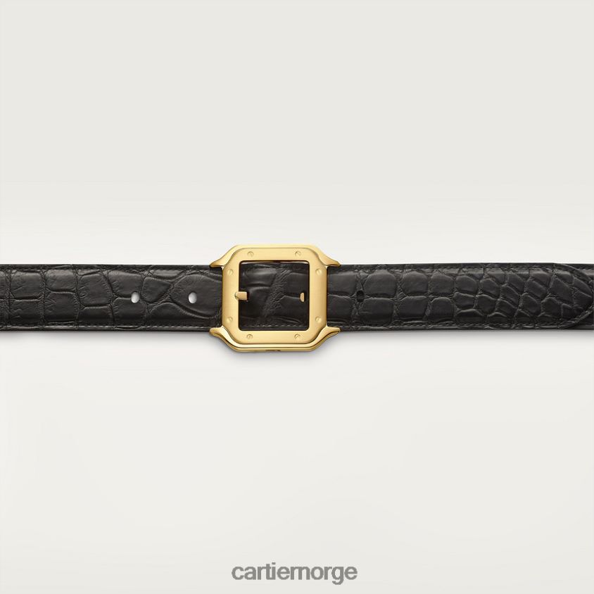 tilbehør Cartier belte, santos stilig F4466N1385