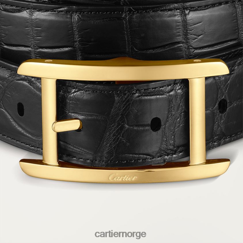 tilbehør Cartier belte, tank stilig F4466N1386