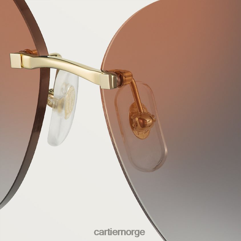 tilbehør Cartier Panthere solbriller stilig F4466N1522
