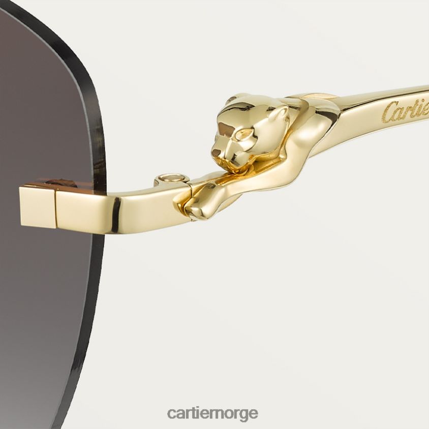 tilbehør Cartier Panthere solbriller stilig F4466N1522