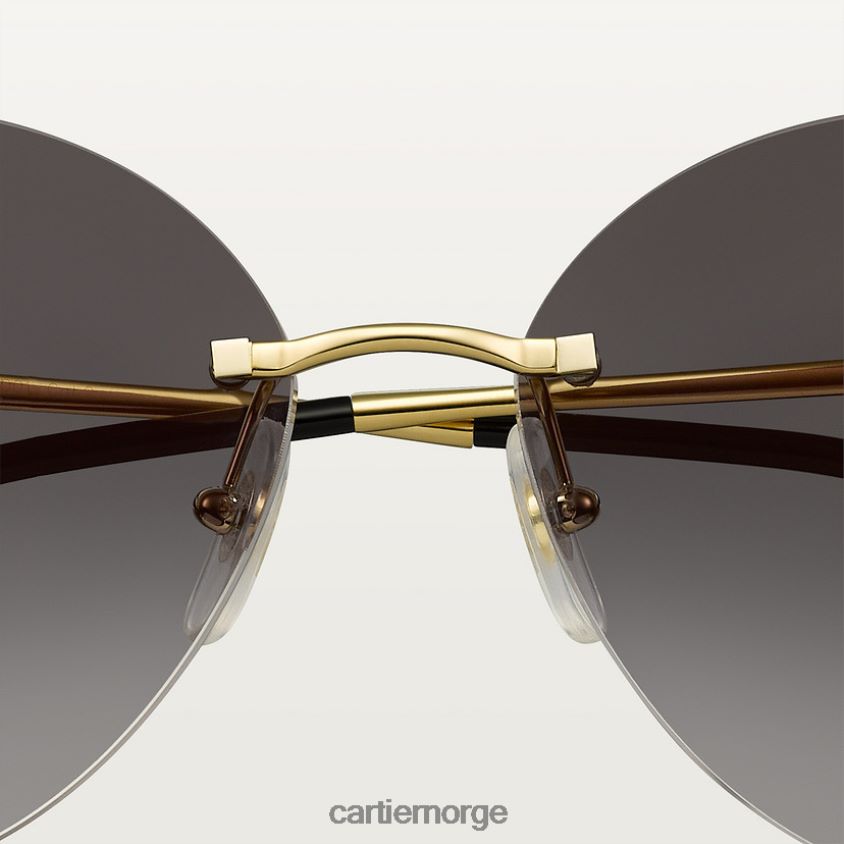 tilbehør Cartier Panthere solbriller stilig F4466N1522
