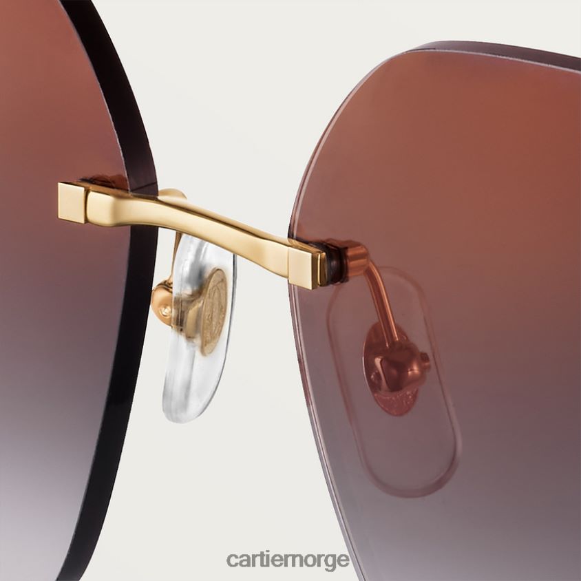 tilbehør Cartier Panthere solbriller stilig F4466N1523
