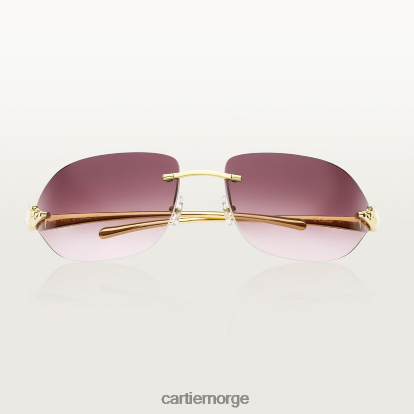 tilbehør Cartier Panthere solbriller stilig F4466N1534