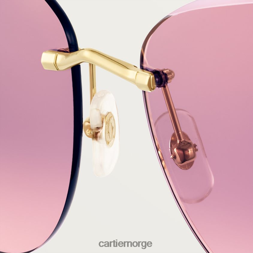 tilbehør Cartier Panthere solbriller stilig F4466N1542