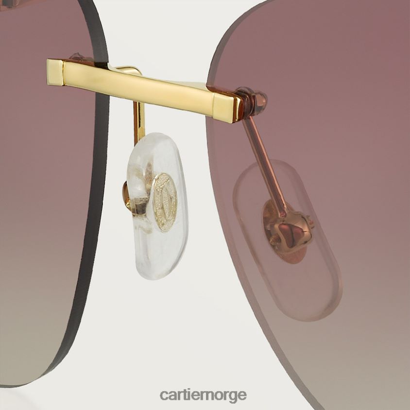 tilbehør Cartier Panthere solbriller stilig F4466N1543