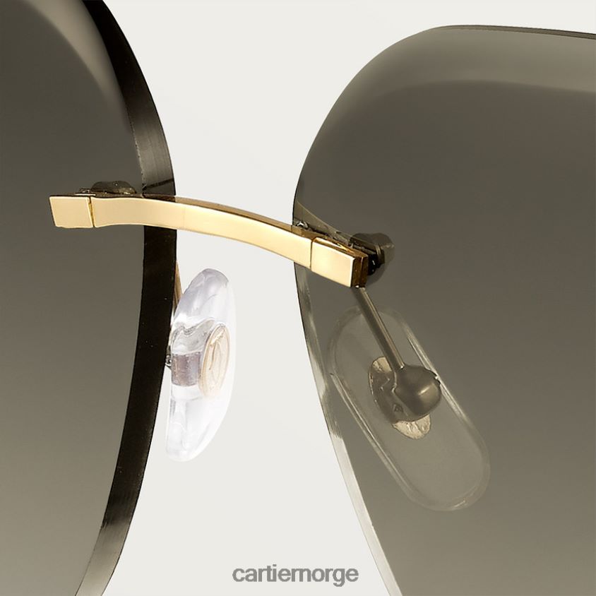 tilbehør Cartier Panthere solbriller stilig F4466N1546