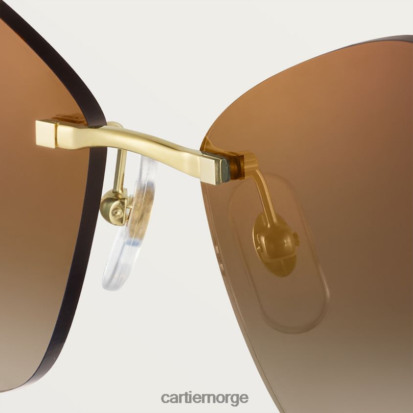 tilbehør Cartier Panthere solbriller stilig F4466N1548