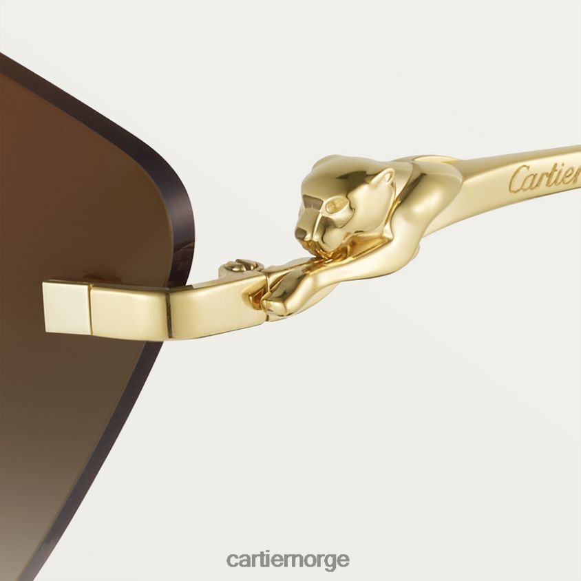 tilbehør Cartier Panthere solbriller stilig F4466N1548